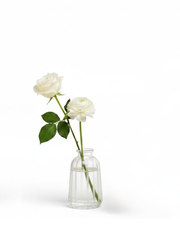 Clear Isabella Glass Bud Vase