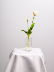 White Tulip Bud Vase - Medium