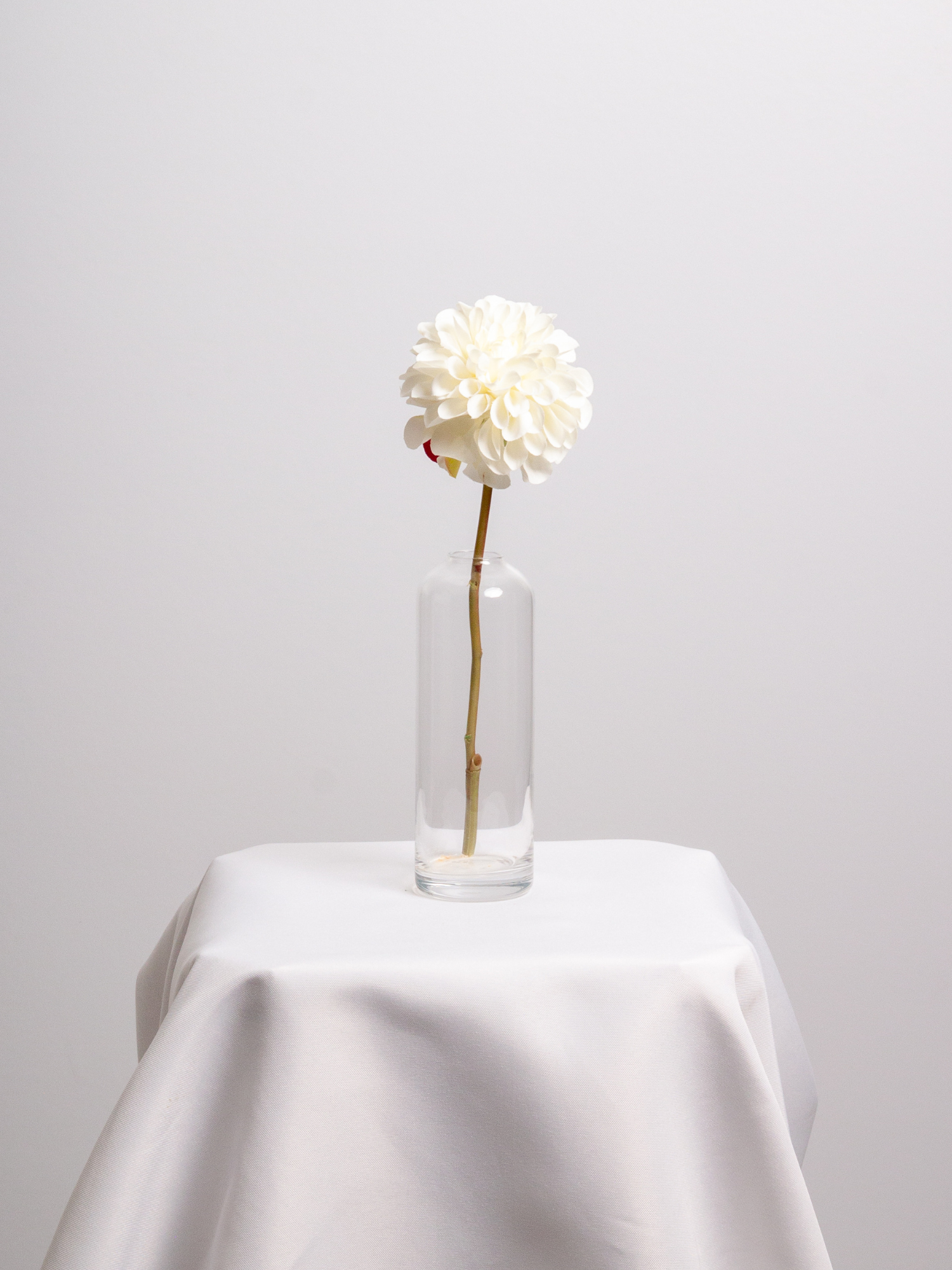 White Dahlia Bud Vase - Large