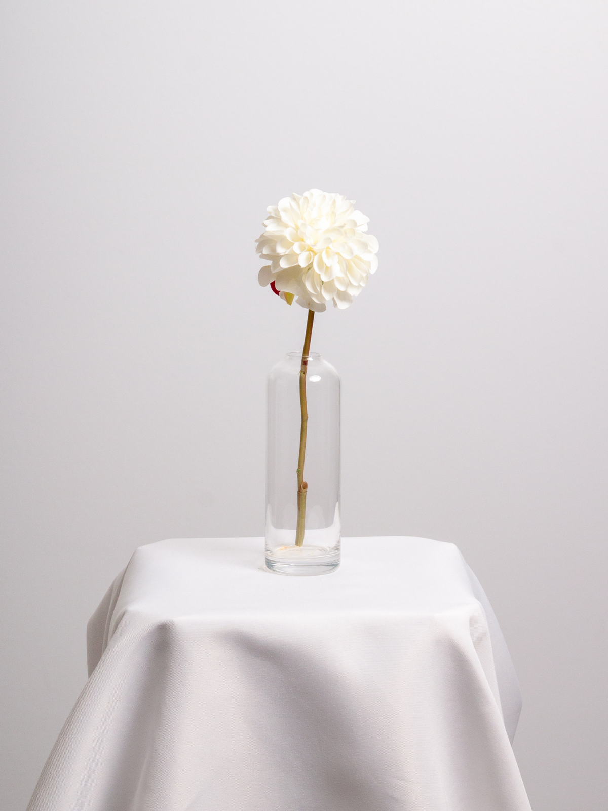 White Dahlia Bud Vase - Large