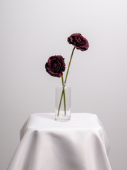 Burgundy Ranunculus Bud Vase - Medium