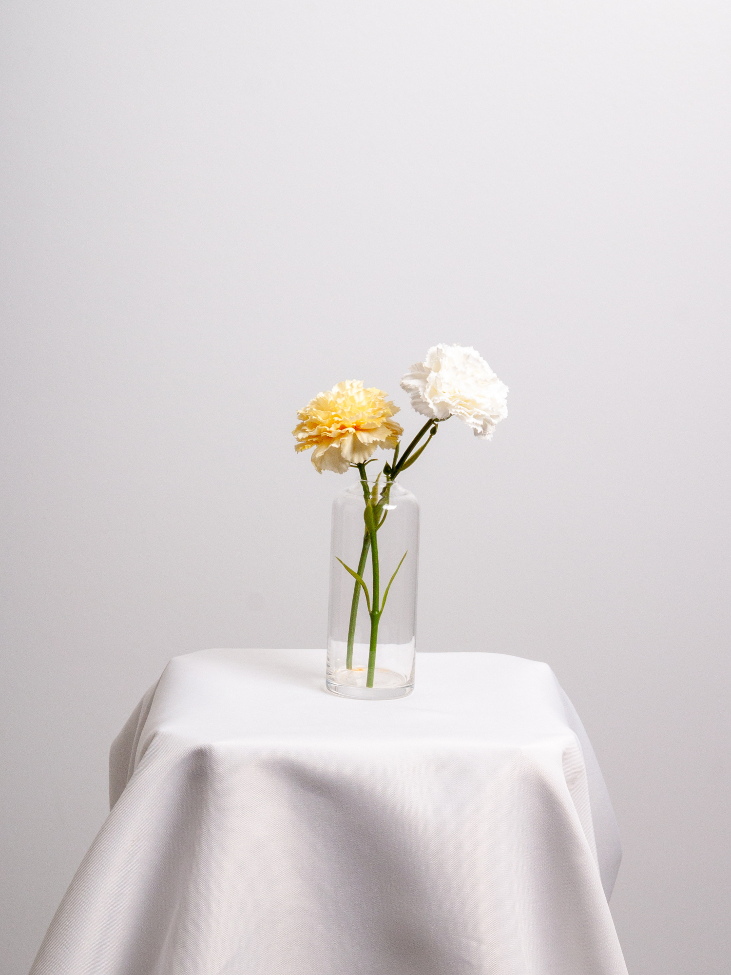 Lemon & White Carnation Bud Vase - Medium