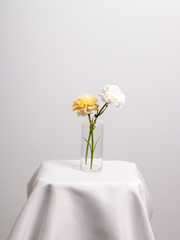 Lemon & White Carnation Bud Vase - Medium