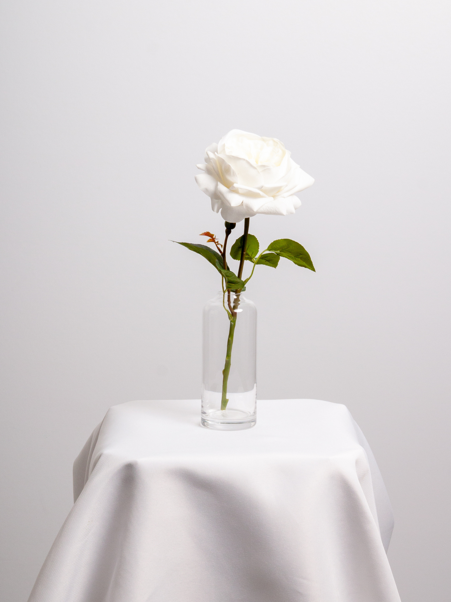 White Garden Rose Bud Vase - Medium