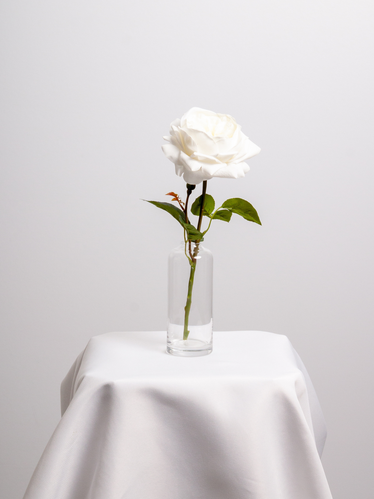 White Garden Rose Bud Vase - Medium