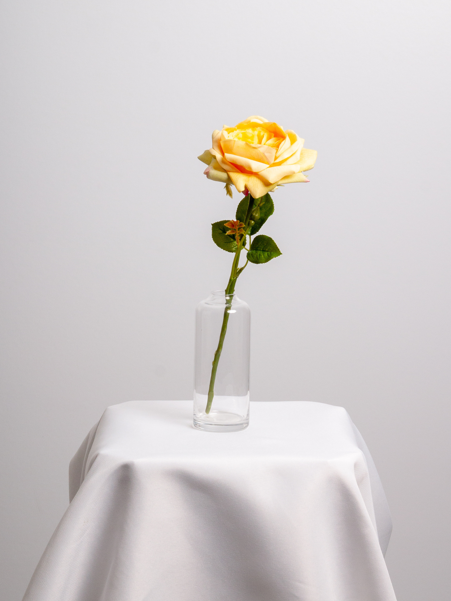 Orange Garden Rose Bud Vase - Medium