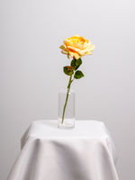 Orange Garden Rose Bud Vase - Medium