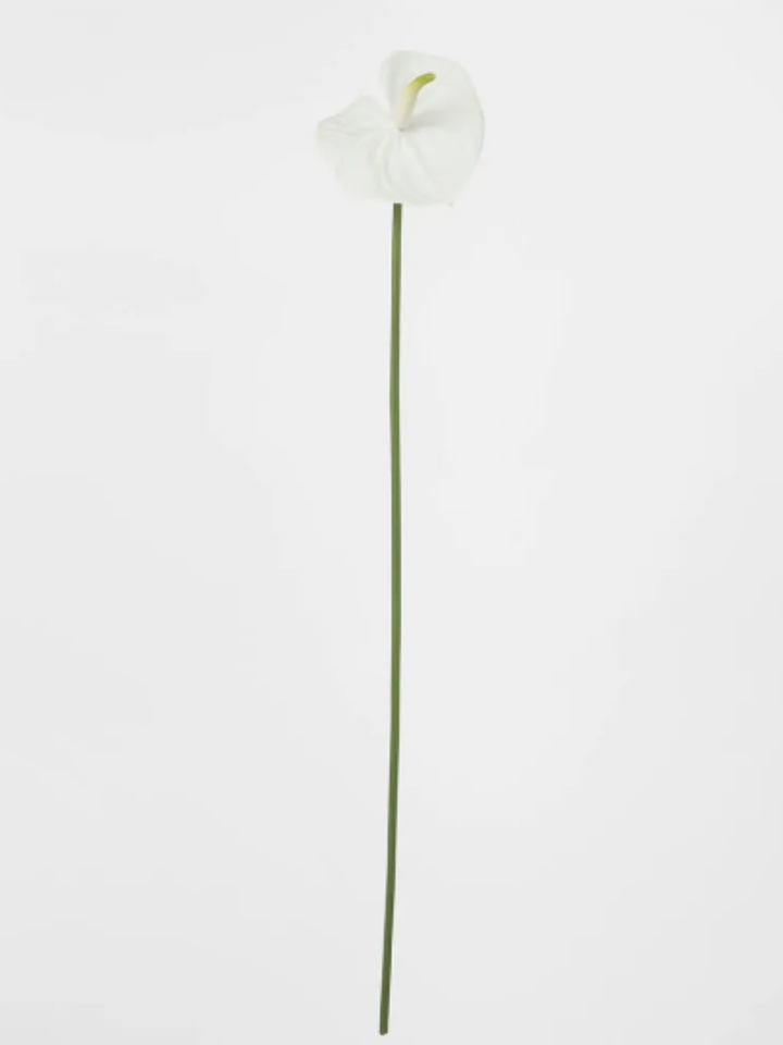 White Anthurium Lily Real Touch