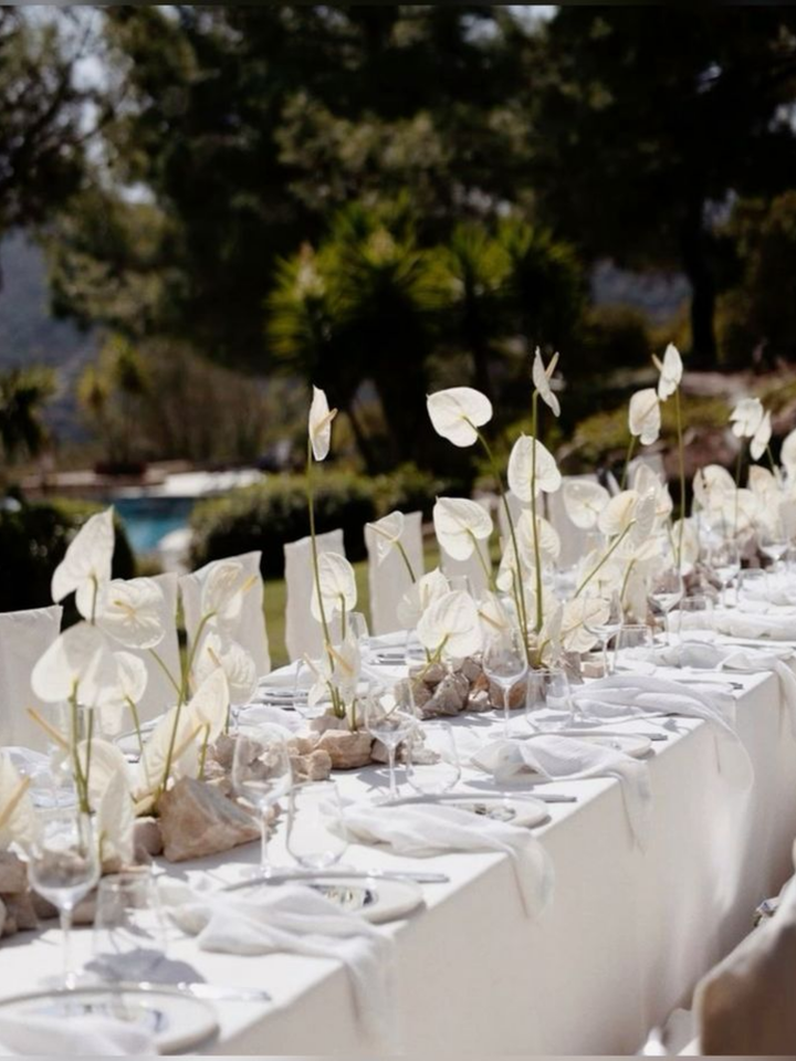 White Anthurium Lily Real Touch