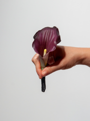 Plum Noir Wedding Buttonhole Pack of 1