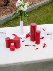Chilli 5cm x 15cm Slim Pillar Pack of 1