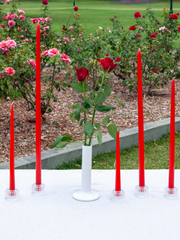 Scarlet 25cm Taper Candles Pack of 4
