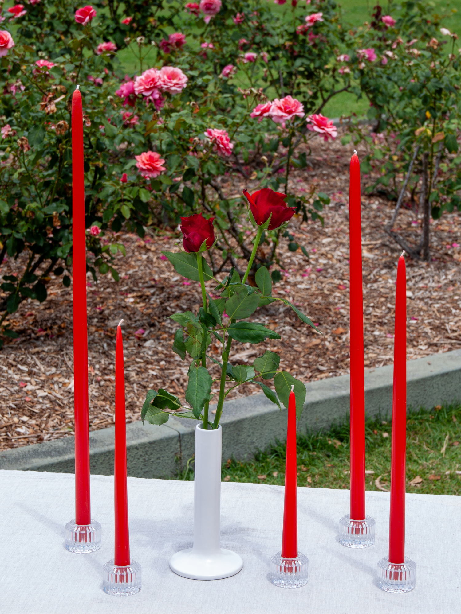 Scarlet 25cm Taper Candles Pack of 4