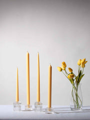 Lemon 40cm Dinner Candles - Pack of 96