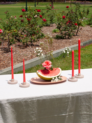 Watermelon 40cm Dinner Candles Pack of 4