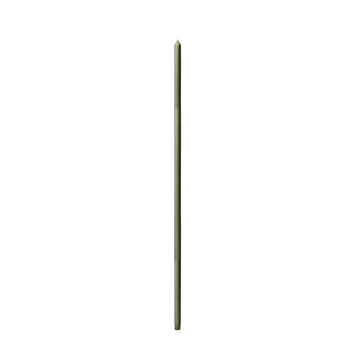 Olive 80cm Dinner Candles Pack of 1