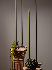 Olive 80cm Dinner Candles Pack of 1