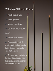 Olive 85cm Taper Candles Pack of 1