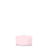 Blush Pink Tealights