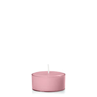 Dusty Pink Tealights