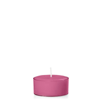 Magenta Tealights