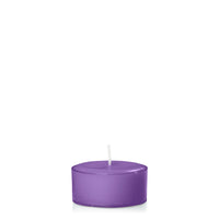 Purple Tealights