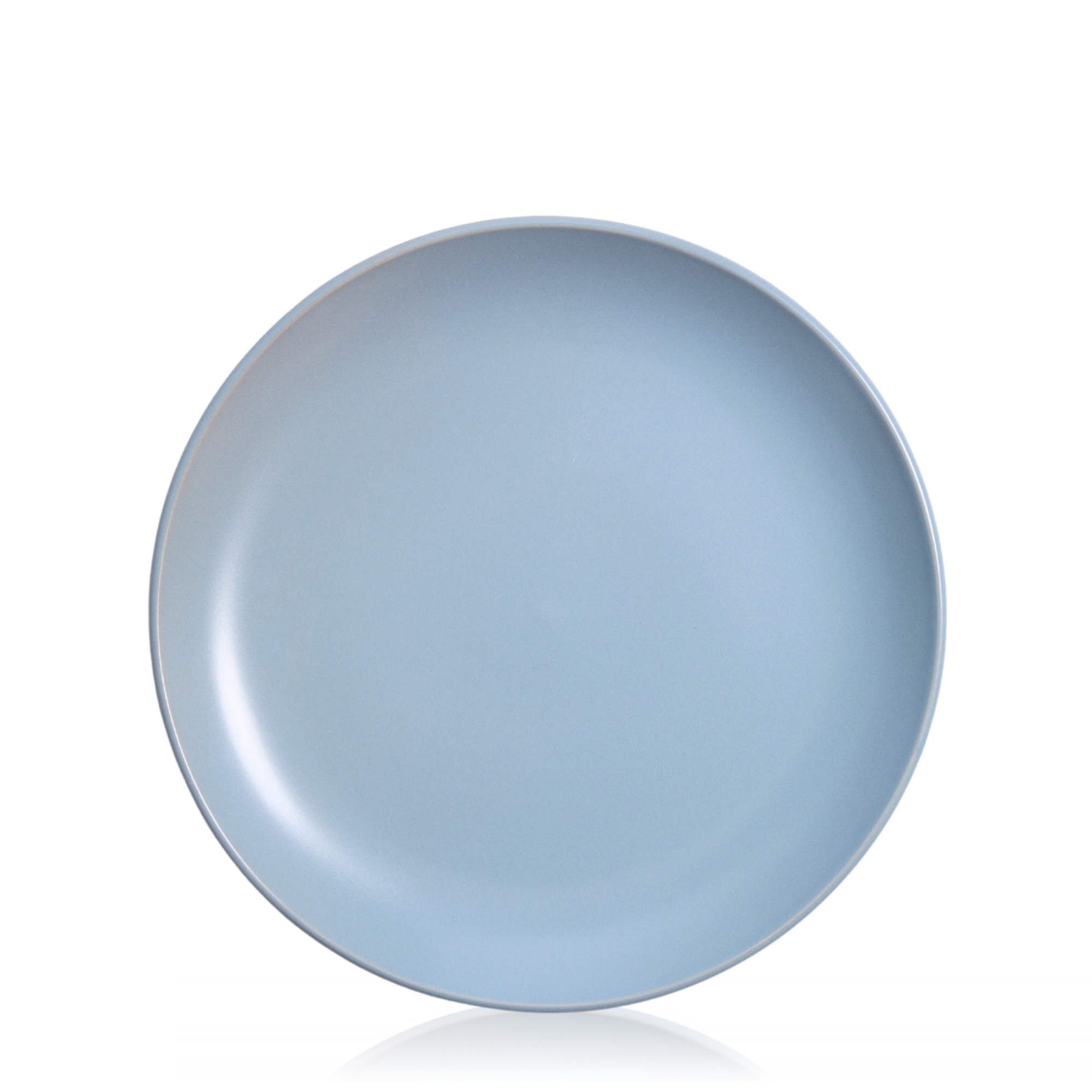 Sea Mist Dinner Plate Pack of 1