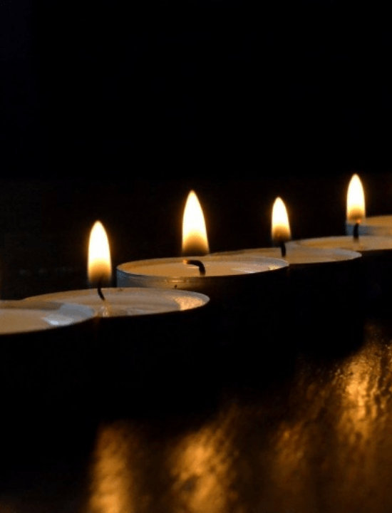 Lilac Tealight in Fishbowl Pack Pack of 24