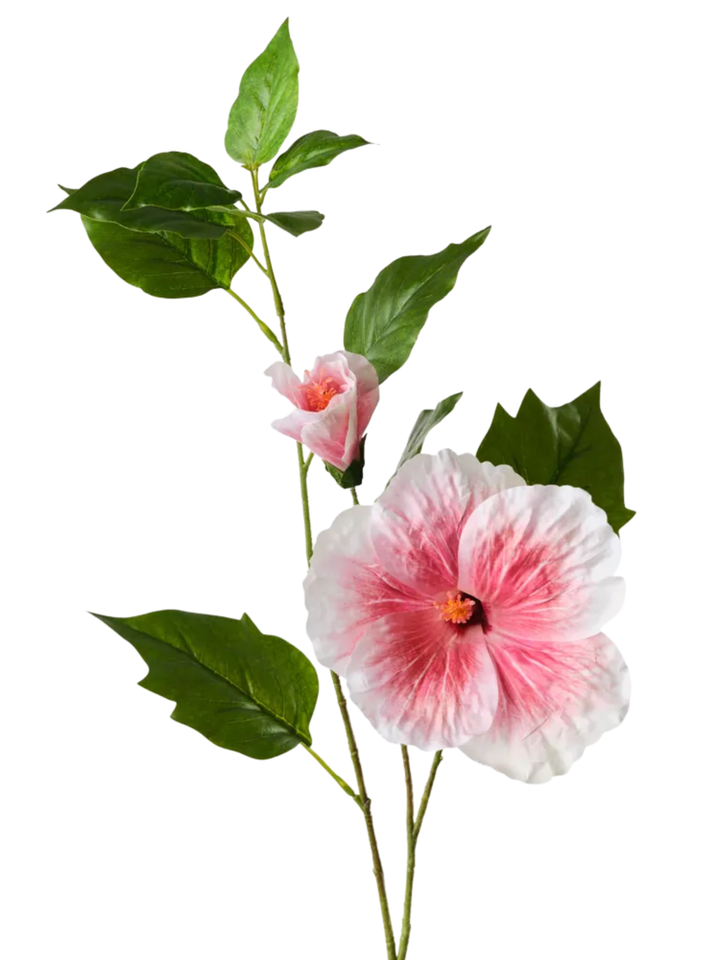 Pink Hibiscus Spray