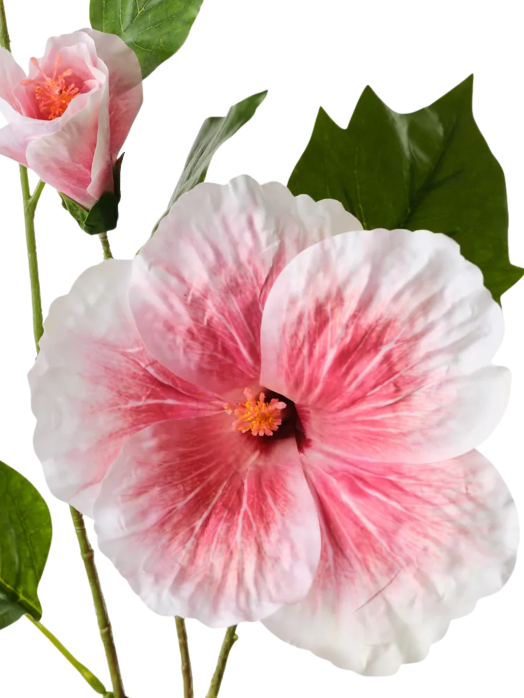 Pink Hibiscus Spray