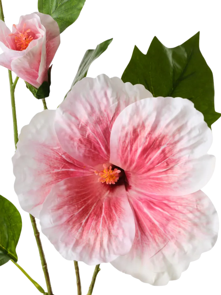 Pink Hibiscus Spray