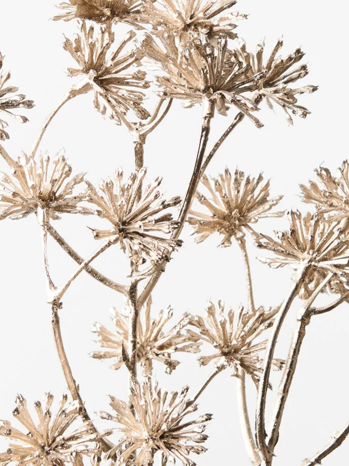 Aralia Metallic Spray Pack of 1