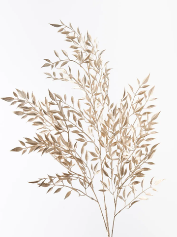 Ruscus Champagne Metallic Spray Pack of 1