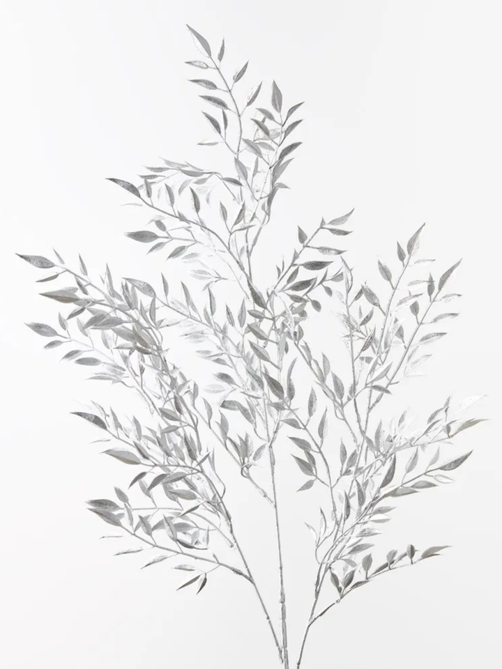 Ruscus Silver Metallic Spray Pack of 1