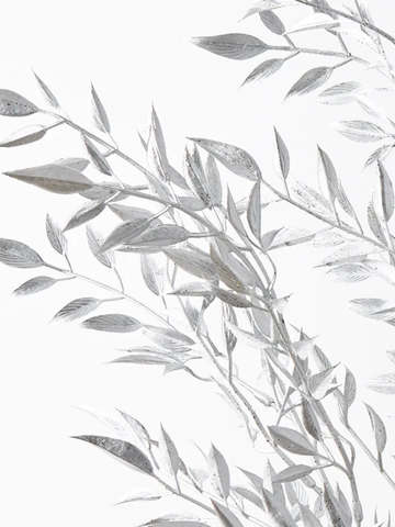 Ruscus Silver Metallic Spray Pack of 1