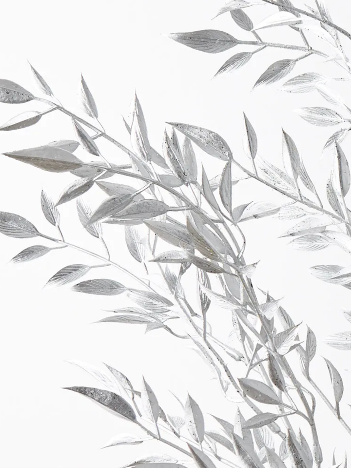 Ruscus Silver Metallic Spray Pack of 1