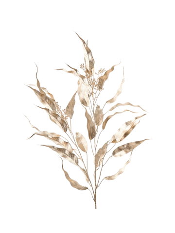 Eucalyptus Seed Metallic Spray Pack of 1