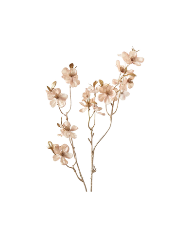 Blossom Metallic Spray Pack of 1