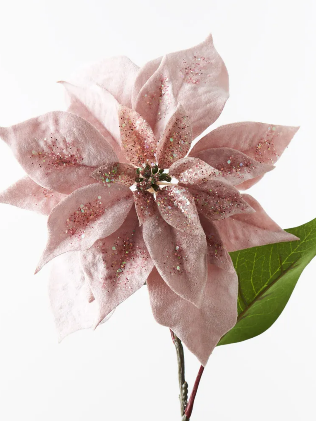 Poinsettia Light Pink Velvet Pack of 1