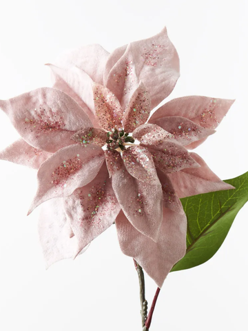 Poinsettia Light Pink Velvet Pack of 1