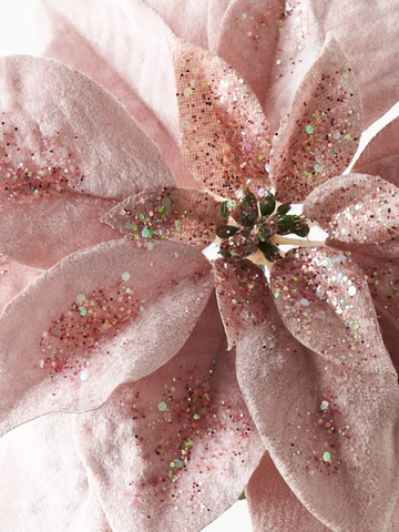 Poinsettia Light Pink Velvet Pack of 1