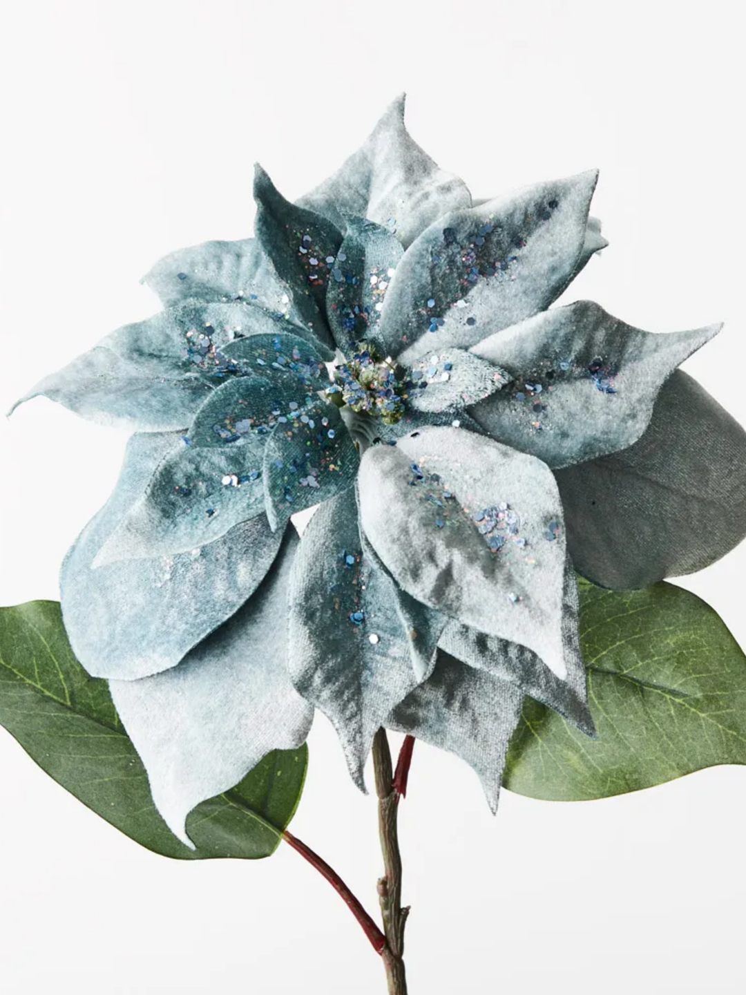Poinsettia French Blue Velvet Pack of 1
