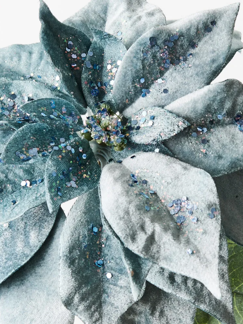 Poinsettia French Blue Velvet Pack of 1