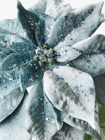 Poinsettia French Blue Velvet Pack of 1