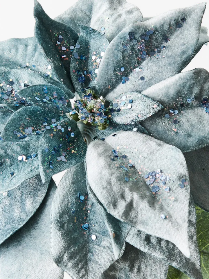 Poinsettia French Blue Velvet Pack of 1