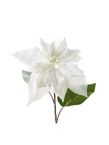 Poinsettia White Velvet Pack of 1