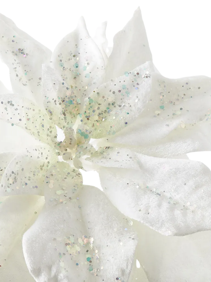 Poinsettia White Velvet Pack of 1