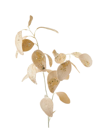 Eucalyptus Champagne Velvet Spray Pack of 1