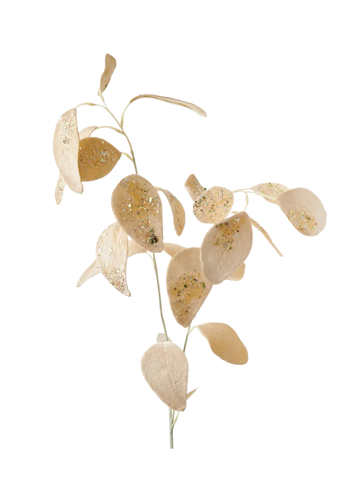 Eucalyptus Champagne Velvet Spray Pack of 1