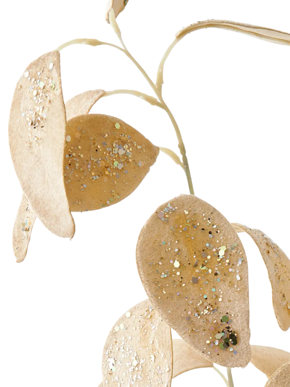 Eucalyptus Champagne Velvet Spray Pack of 1